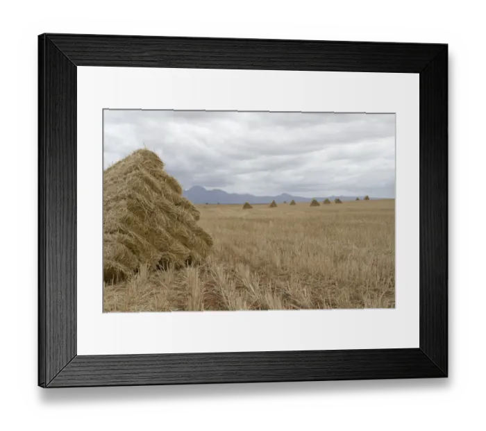 Framed Print : agriculture, bale, beauty in nature, color image, copy space, day, dramatic sky, field Framed Print : agriculture, bale, beauty in nature, color image, copy space, day, dramatic sky, field