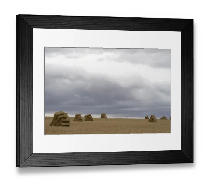 Framed Print : agriculture, bale, beauty in nature, color image, copy space, day, dramatic sky, field Framed Print : agriculture, bale, beauty in nature, color image, copy space, day, dramatic sky, field