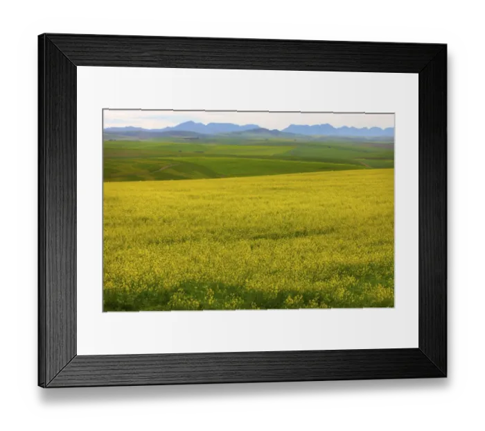 Framed Print : abundance, accomplish, accomplishing, accomplishment, africa, agriculture, ambient Framed Print : abundance, accomplish, accomplishing, accomplishment, africa, agriculture, ambient