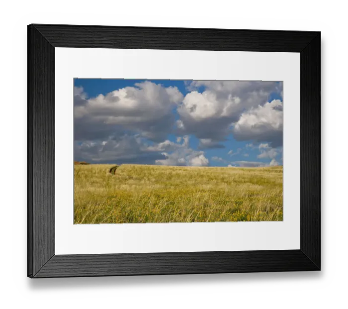 Framed Print : beauty in nature, cloud, color image, day, field, grass area, horizon over land, horizontal Framed Print : beauty in nature, cloud, color image, day, field, grass area, horizon over land, horizontal