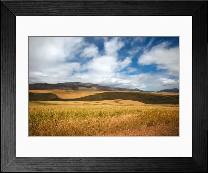 Framed Print : clear sky, cloud, color image, day, eastern cape province, grass, grass, grass area Framed Print : clear sky, cloud, color image, day, eastern cape province, grass, grass, grass area
