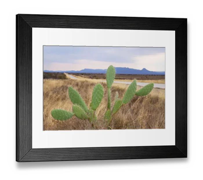 Framed Print : beauty in nature, color image, country road, day, eastern cape province, flora, graaff-reinet
