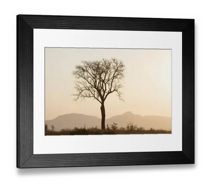 Framed Print : beauty in nature, bosbokrand, color image, day, hill, horizon over land, horizontal Framed Print : beauty in nature, bosbokrand, color image, day, hill, horizon over land, horizontal