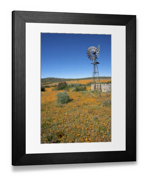 Framed Print : abundance, achieve, achievement, achieving, adapt, adaptation, adapting, africa, alternative energy
