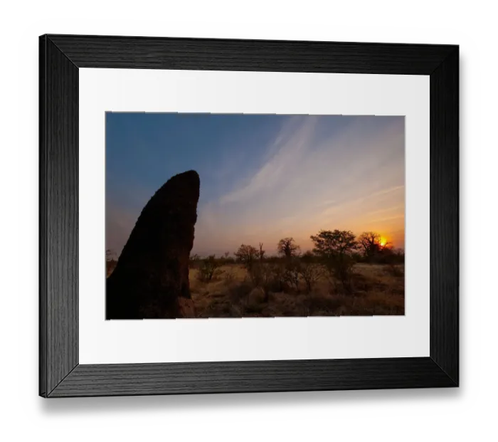 Framed Print : animal behavior, animal themes, backlit, botswana, cloud, color image, grass area Framed Print : animal behavior, animal themes, backlit, botswana, cloud, color image, grass area