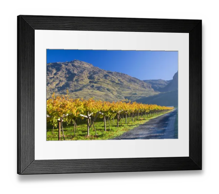 Framed Print : autumn, beauty in nature, clear sky, color image, country road, day, freshness, green Framed Print : autumn, beauty in nature, clear sky, color image, country road, day, freshness, green