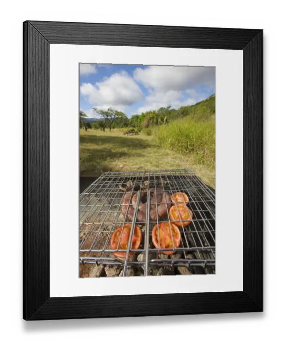 Framed Print : africa, ambient, appetizing, bbq, background, barbecue, blue sky, boerewors, candid Framed Print : africa, ambient, appetizing, bbq, background, barbecue, blue sky, boerewors, candid