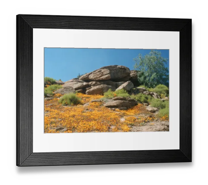 Framed Print : beauty in nature, clear sky, color image, day, horizontal, landscape, namaqualand Framed Print : beauty in nature, clear sky, color image, day, horizontal, landscape, namaqualand