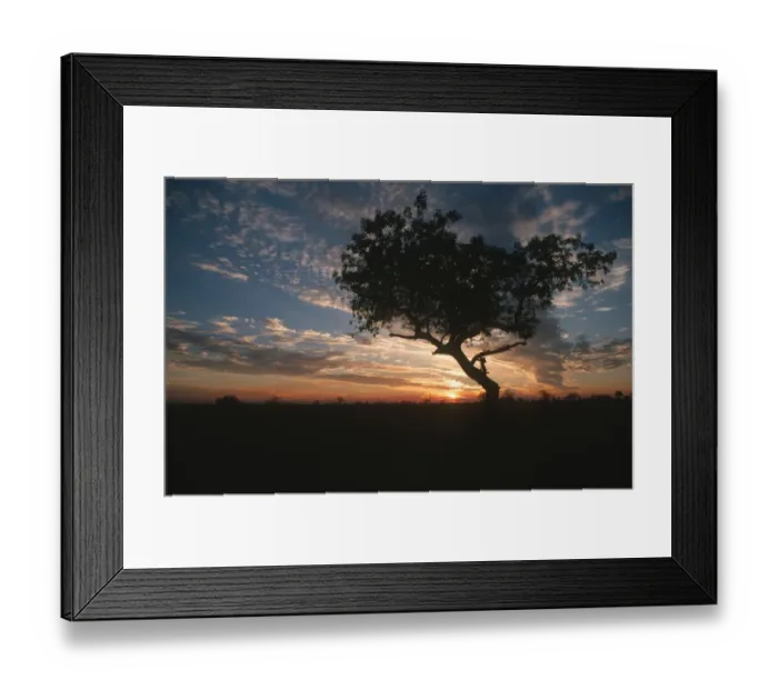Framed Print : beauty in nature, cloud, color image, horizon over land, horizontal, idyllic, kruger national park