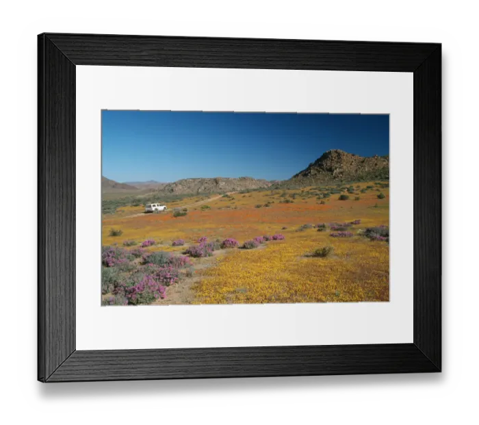 Framed Print : abundance, arid, beauty in nature, clear sky, color image, day, elevated view, flower Framed Print : abundance, arid, beauty in nature, clear sky, color image, day, elevated view, flower