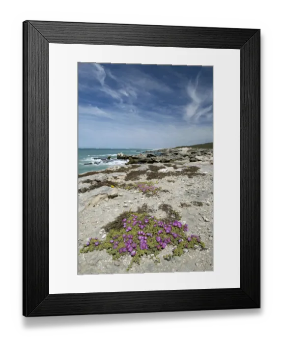 Framed Print : cloud, coast, coastline, color image, day, de hoop nature reserve, hiking, horizon over water
