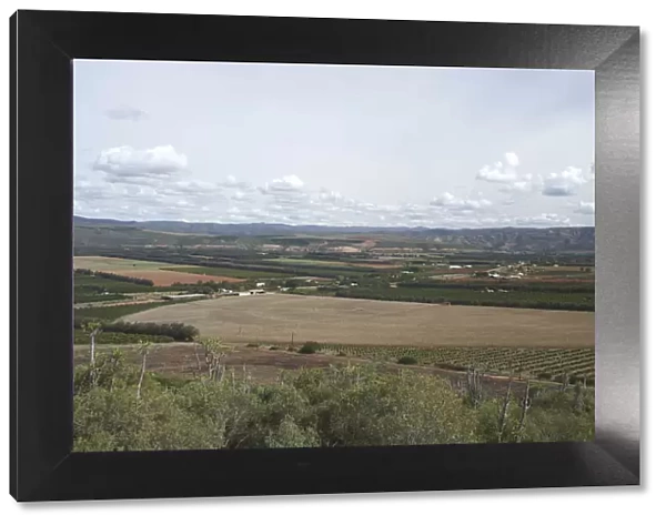 Agriculture, Cloud, Crop, Cultivated Land, Eastern Cape, Field, Gamtoos Valley, Landscape