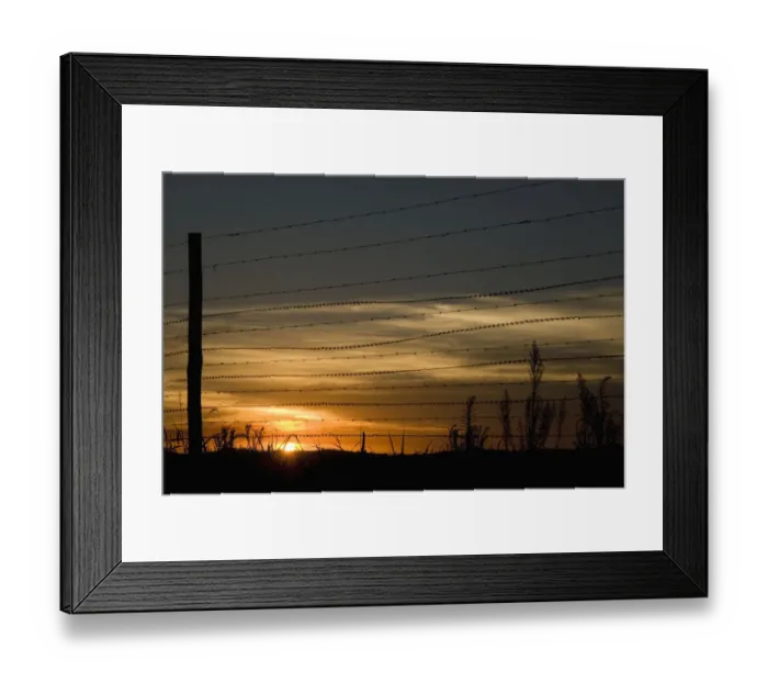 Framed Print : Fence, Landscape, Peacefulness, Protection, Razor Wire, Romantic Sky, Safety, Scenics Framed Print : Fence, Landscape, Peacefulness, Protection, Razor Wire, Romantic Sky, Safety, Scenics