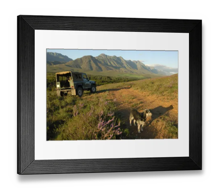 Framed Print : Outdoor life with dog and 4x4 in the spring, Riviersonderend mountains near Greyton, Overberg, Western Cape Province, South Africa Framed Print : Outdoor life with dog and 4x4 in the spring, Riviersonderend mountains near Greyton, Overberg, Western Cape Province, South Africa