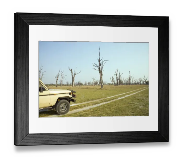 Framed Print : 4X4, Adventure, Bare Tree, Clear Sky, Dead Tree Island, Jeep, Landscape, No People Framed Print : 4X4, Adventure, Bare Tree, Clear Sky, Dead Tree Island, Jeep, Landscape, No People