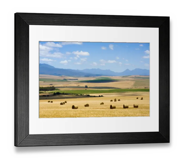 Framed Print : Agriculture, Bale, Cloud, Crop, Dry, Farm, Field, Harvesting, Hay, Haystack, Landscape Framed Print : Agriculture, Bale, Cloud, Crop, Dry, Farm, Field, Harvesting, Hay, Haystack, Landscape