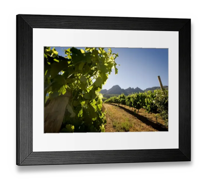 Framed Print : Agriculture, Clear Sky, Crop, Cultivated, Cultivated Land, Field, Growth, Landscape Framed Print : Agriculture, Clear Sky, Crop, Cultivated, Cultivated Land, Field, Growth, Landscape