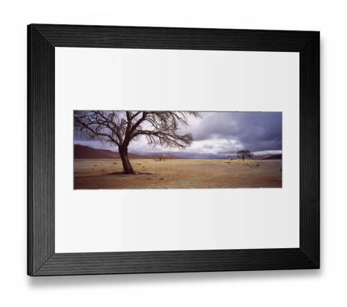 Framed Print : Wide Open Spaces, Tree, Camelthorn Tree, No People, Namib Desert, Moody, Cloud, Overcast