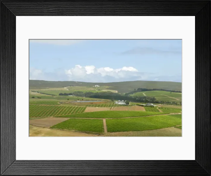 Framed Print : Agriculture, Cloud, Cultivated, Field, Green, Hemel-En-Aarde Valley, Hermanus, Horizon Over Land Framed Print : Agriculture, Cloud, Cultivated, Field, Green, Hemel-En-Aarde Valley, Hermanus, Horizon Over Land