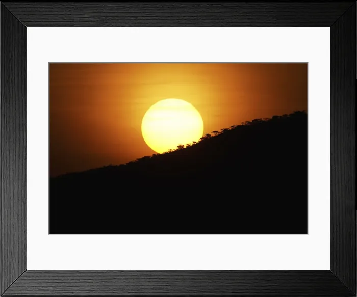 Framed Print : Acacia Tree, Beauty In Nature, Growth, Landscape, Nature, Non-Urban Scene, Peacefulness