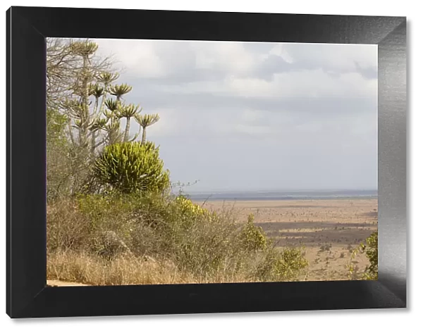 Cloud, Kruger National Park, Landscape, Lebombo Knobthorn-Marula Bushveld, Mpumalanga Province