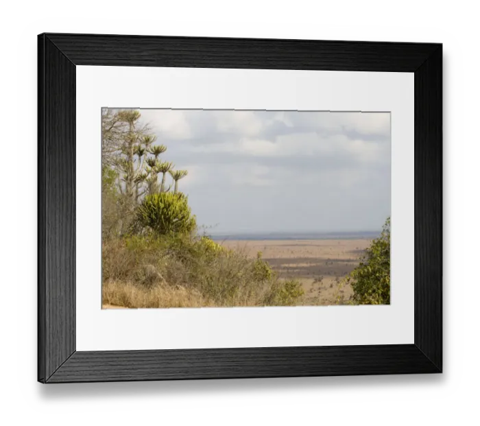 Framed Print : Cloud, Kruger National Park, Landscape, Lebombo Knobthorn-Marula Bushveld, Mpumalanga Province Framed Print : Cloud, Kruger National Park, Landscape, Lebombo Knobthorn-Marula Bushveld, Mpumalanga Province