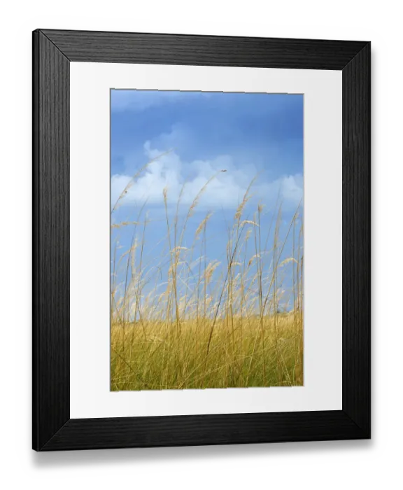 Framed Print : Bush Land, Cloud, Generic Location, Grass, Landscape, Moremi Wildlife Reserve, National Park Framed Print : Bush Land, Cloud, Generic Location, Grass, Landscape, Moremi Wildlife Reserve, National Park