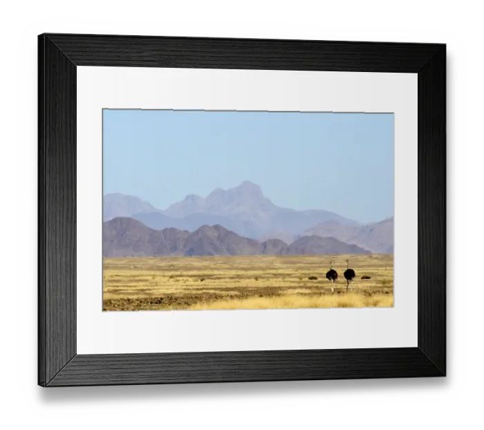 Framed Print : Animal Behavior, Animal Themes, Animals In The Wild, Avian, Bird, Fauna, Field, Flightless Bird