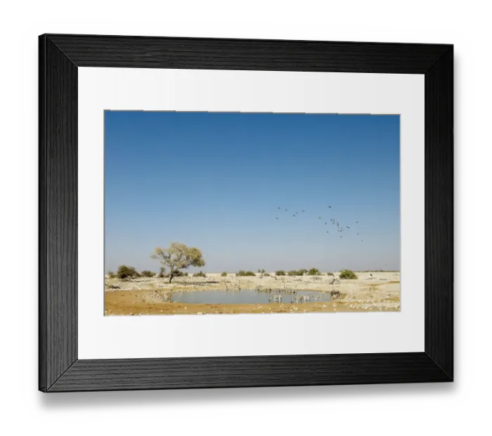 Framed Print : Etosha National Park, Field, Generic Location, Horizon Over Land, Horizontal, Landscape Framed Print : Etosha National Park, Field, Generic Location, Horizon Over Land, Horizontal, Landscape