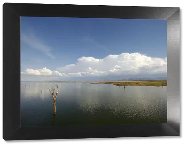 Bare Tree, Cloud, Horizon Over Land, Lake, Lake Kariba, Landscape, Mashonaland, Matusadona