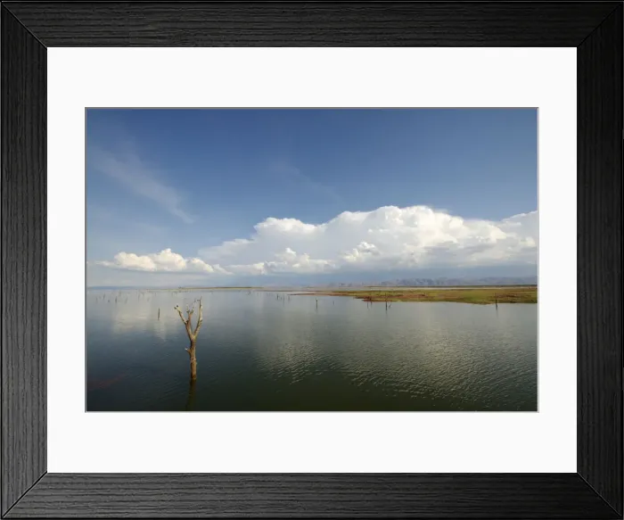 Framed Print : Bare Tree, Cloud, Horizon Over Land, Lake, Lake Kariba, Landscape, Mashonaland, Matusadona Framed Print : Bare Tree, Cloud, Horizon Over Land, Lake, Lake Kariba, Landscape, Mashonaland, Matusadona