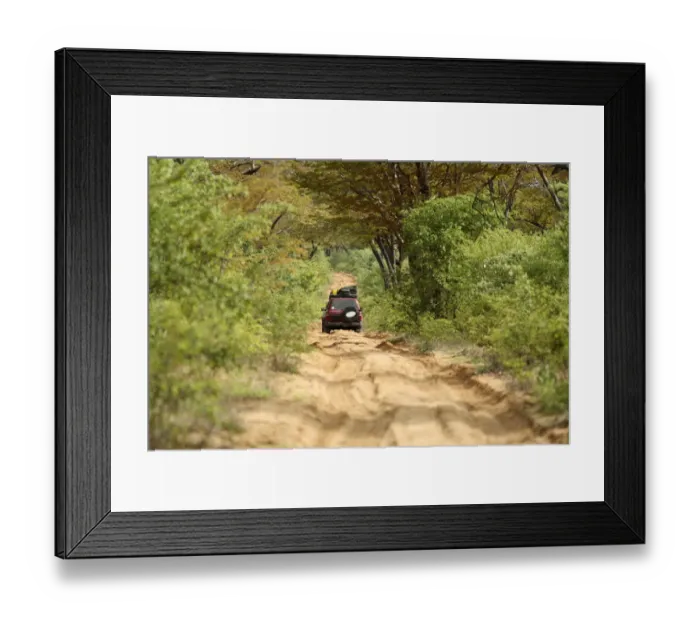 Framed Print : Chobe National Park, National Park, Color Image, Day, Dirt Road, Focus On Background