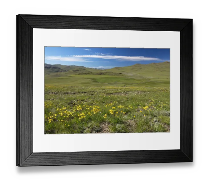 Framed Print : Cloud, Drakensberg, Flower, Mountain, Nature, No People, Plant, Scenics, Sky, Travel Destinations Framed Print : Cloud, Drakensberg, Flower, Mountain, Nature, No People, Plant, Scenics, Sky, Travel Destinations