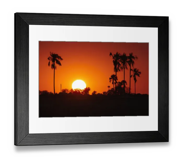 Framed Print : Beauty In Nature, Clear Sky, Evening, Horizon, Hwange, Hwange National Park, National Park Framed Print : Beauty In Nature, Clear Sky, Evening, Horizon, Hwange, Hwange National Park, National Park