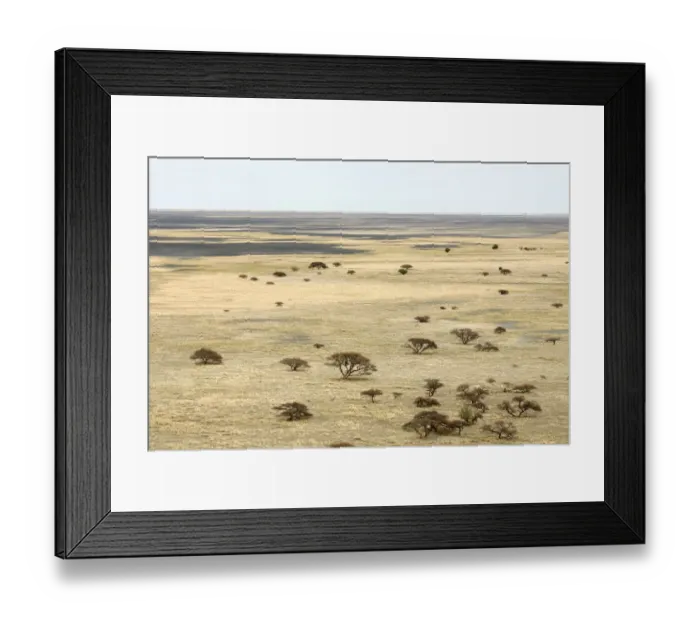 Framed Print : Boundary, Clear Sky, Dry, Field, Growth, Horizon Over Land, Landscape, Makgadikgadi Framed Print : Boundary, Clear Sky, Dry, Field, Growth, Horizon Over Land, Landscape, Makgadikgadi