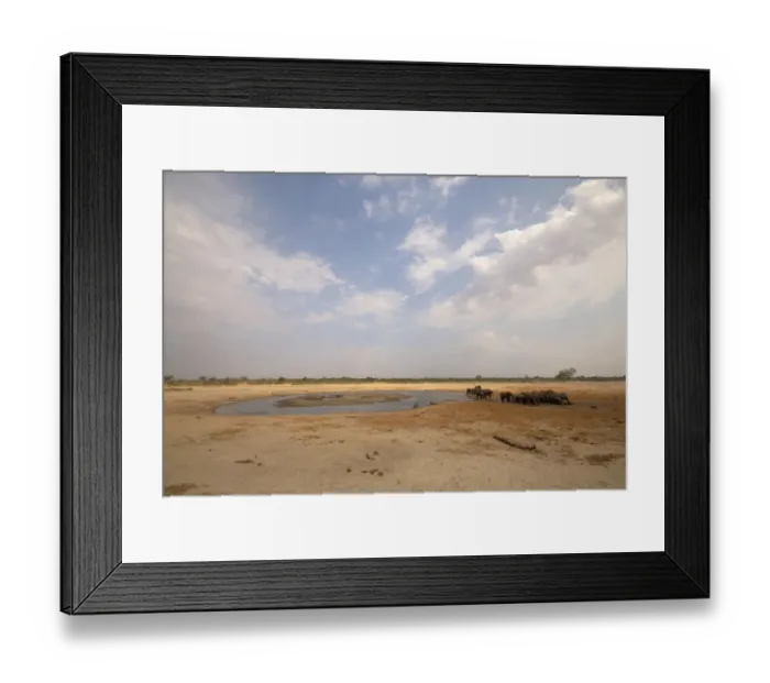 Framed Print : Adult Animal, African Elephant, Animal Themes, Animal life, Animals In The Wild, Drinking Framed Print : Adult Animal, African Elephant, Animal Themes, Animal life, Animals In The Wild, Drinking