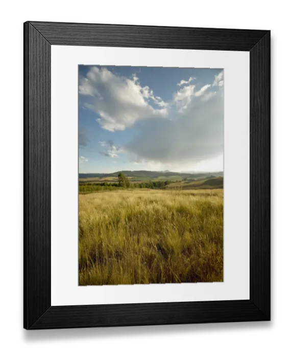 Framed Print : Africa, Cloud, Color Image, Day, Dry, Field, Grass, Horizon Over Land, KwaZulu-Natal Framed Print : Africa, Cloud, Color Image, Day, Dry, Field, Grass, Horizon Over Land, KwaZulu-Natal
