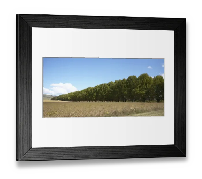 Framed Print : Africa, Cloud, Color Image, Day, Field, Grass, Horizontal, KwaZulu-Natal, Landscape Framed Print : Africa, Cloud, Color Image, Day, Field, Grass, Horizontal, KwaZulu-Natal, Landscape