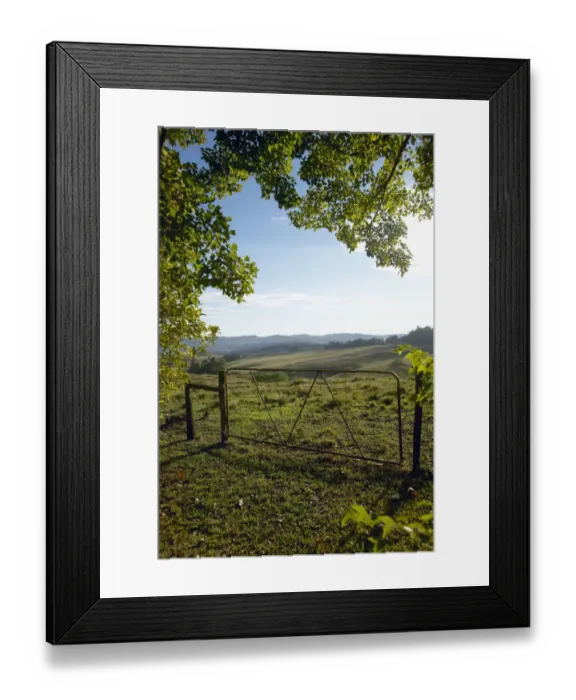 Framed Print : Africa, Branch, Cloud, Color Image, Day, Entrance, Farmhouse, Gate, Grass, KwaZulu-Natal Framed Print : Africa, Branch, Cloud, Color Image, Day, Entrance, Farmhouse, Gate, Grass, KwaZulu-Natal