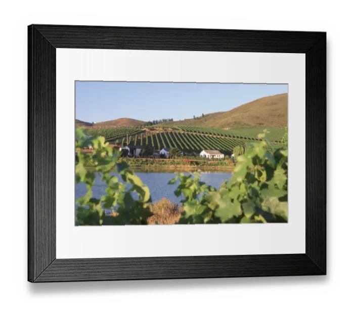 Framed Print : Africa, Building Exterior, Building Structure, Cape Town, Cape Winelands District Municipality Framed Print : Africa, Building Exterior, Building Structure, Cape Town, Cape Winelands District Municipality