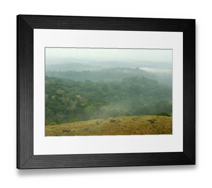 Framed Print : Africa, Color Image, Day, Forest, Gabon, High Angle View, Horizontal, Inselberg, Landscape