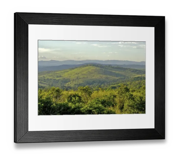 Framed Print : Africa, Cloud, Color Image, Day, Forest, Generic Location, Growth, High Angle View Framed Print : Africa, Cloud, Color Image, Day, Forest, Generic Location, Growth, High Angle View