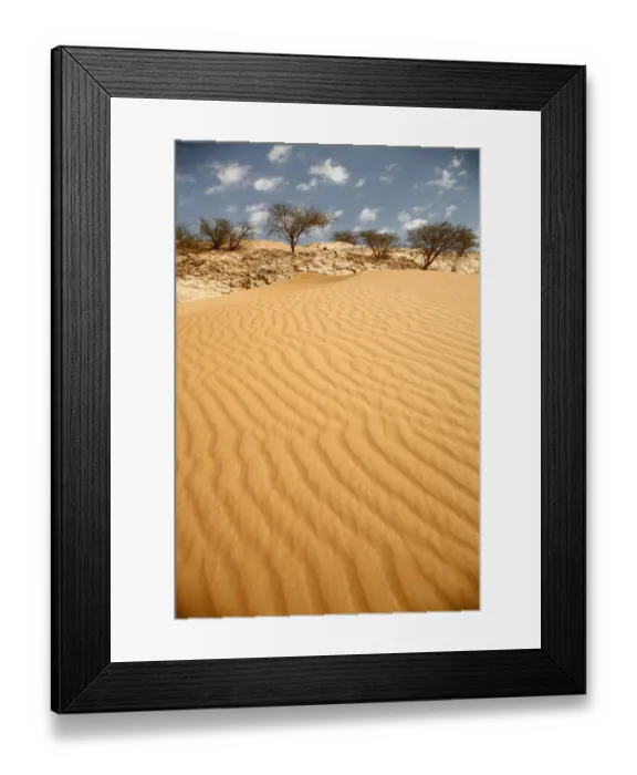 Framed Print : Abu Dhabi, Al Ain, Arid Climate, Arid Landscape, Asia, Capital Cities, Cloud, Color Image Framed Print : Abu Dhabi, Al Ain, Arid Climate, Arid Landscape, Asia, Capital Cities, Cloud, Color Image
