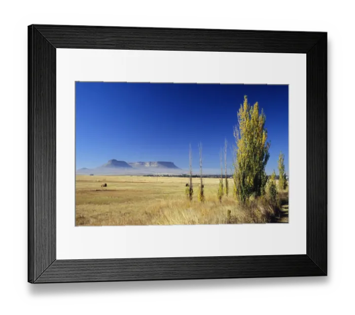 Framed Print : Agriculture, Blue, Clear Sky, Color Image, Crop, Cultivated, Day, Farm, Field, Free State Province Framed Print : Agriculture, Blue, Clear Sky, Color Image, Crop, Cultivated, Day, Farm, Field, Free State Province