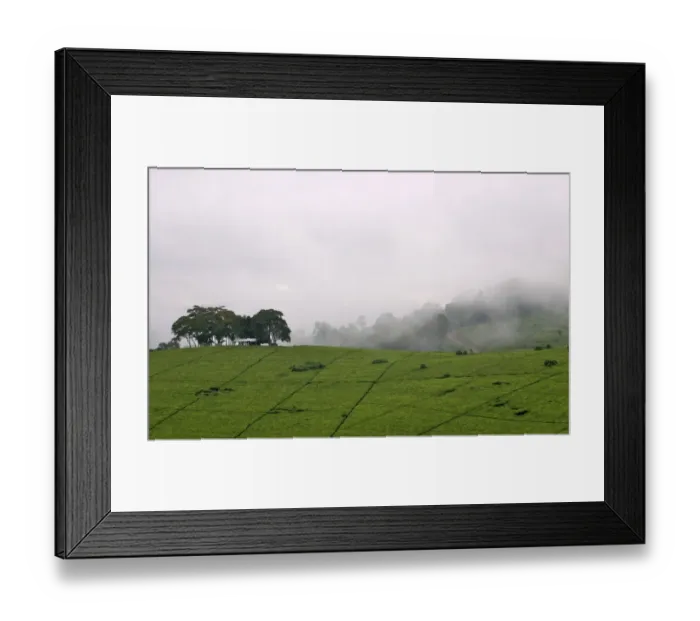 Framed Print : Africa, Cloud, Color Image, Cultivated, Day, Field, Fog, Horizontal, Landscape, No People Framed Print : Africa, Cloud, Color Image, Cultivated, Day, Field, Fog, Horizontal, Landscape, No People
