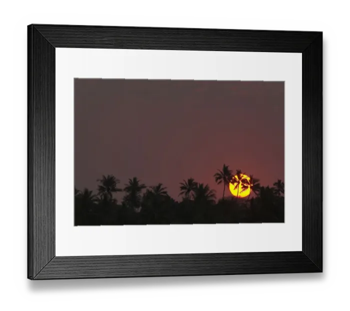 Framed Print : Sun Set behind Palm Trees. Vilanculous Harbour, Mozambique Framed Print : Sun Set behind Palm Trees. Vilanculous Harbour, Mozambique
