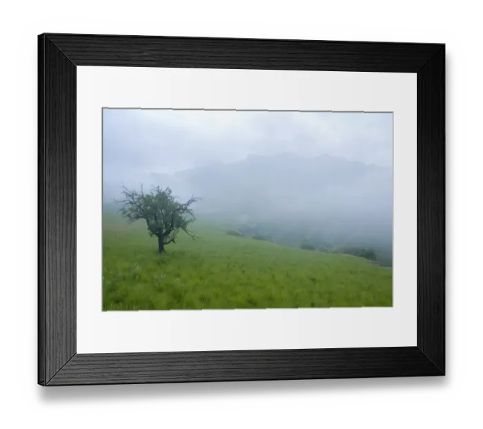 Framed Print : Mist Settling Over the Ndedema Gorge Framed Print : Mist Settling Over the Ndedema Gorge