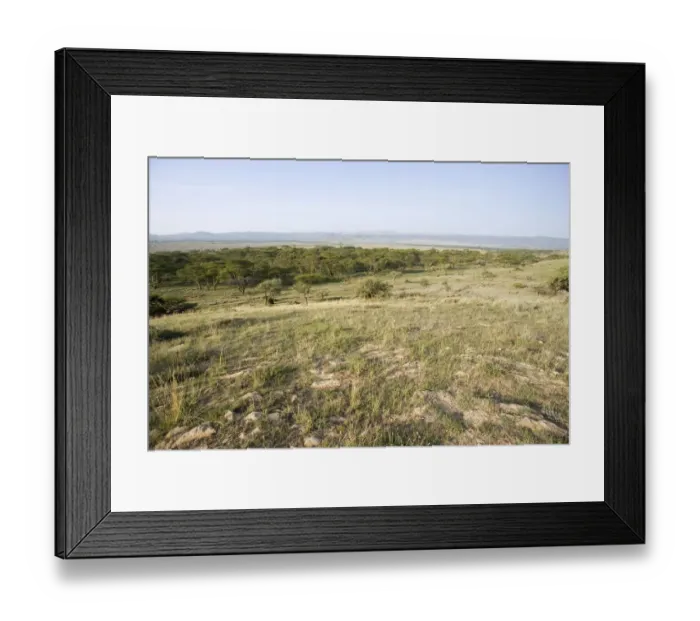 Framed Print : Scenic View of Plain with Acaias in Foreground Framed Print : Scenic View of Plain with Acaias in Foreground