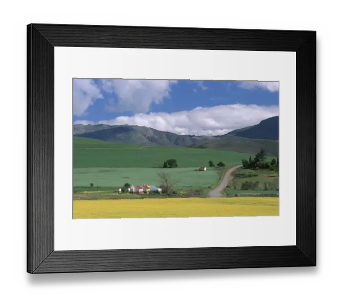Framed Print : Farm Cottages and Rolling Green & Yellow Fields