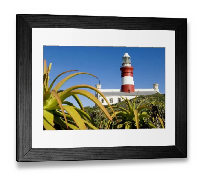 Framed Print : A Low Angle of a Light House with Aloes in the Foreground Framed Print : A Low Angle of a Light House with Aloes in the Foreground